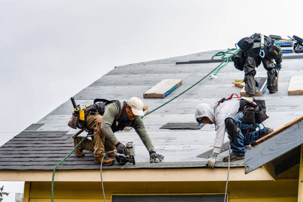 Professional Roofing technician working in Plainville, NY